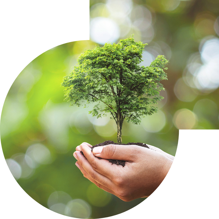 關懷人類、文化、環境與社會